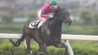 【マルチヒーロー特別】栗東のモンテルースが森泰斗騎手の手綱で2年ぶりの2勝目