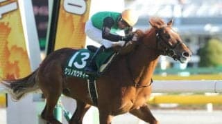 【CBC賞予想オッズ】GI・1位入線のクリノガウディーが人気の中心