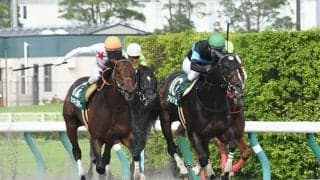【プロキオンS想定】南部杯覇者サンライズノヴァ、芝重賞3勝エアスピネルなど