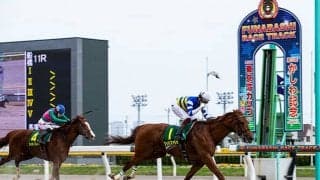 【次走】ワイドファラオは南部杯へ、マイルJpnI・2勝目を目指す