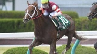 【門別競馬情報】JRA在籍時に重賞勝ちの実績馬も2頭！各馬、いまも頑張って走ってます「ハービンジャー・プレミアム」/地方競馬情報
