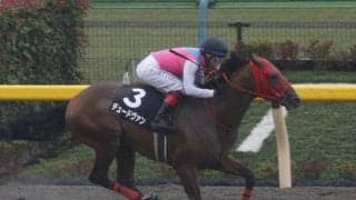 【次走】デュードヴァンはレパードSへ　ジャパンダートダービーは回避