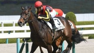【ラジオNIKKEI賞出走馬・騎手確定】パラスアテナ＆武豊騎手、ルリアン＆坂井瑠星騎手など12頭