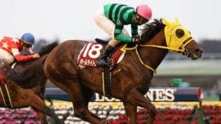 ボールライトニングが抹消、乗馬に　2015年京王杯2歳S覇者