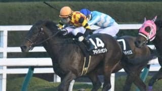 【水沢・栗駒賞枠順確定】アキトクレッセントは6枠6番、ロジストームは7枠7番