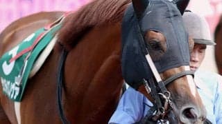 【プロキオンS想定】サンライズノヴァは松若風馬騎手、エアスピネルは鮫島克駿騎手