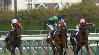 【CBC賞予想】1勝馬にトップハンデは妥当なのか？ 攻略ポイントはクリノガウディーの取捨！/JRAレース展望
