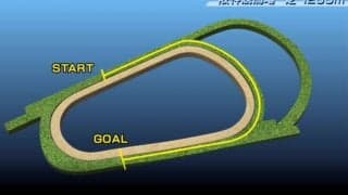 【CBC賞コース解説】今年は連続開催半ばの阪神で開催。従来のイメージは捨てて臨みたい