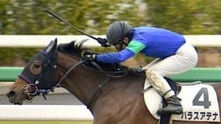 【ラジオNIKKEI賞前日オッズ】牝馬パラスアテナが4.2倍で1番人気