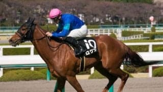 【CBC賞予想】馬場がどこまで悪化しているか。こなせそうなのはロケットやタイセイアベニールなどか/JRAレース展望