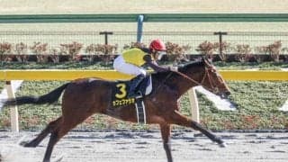 【大井・ジャパンダートダービー枠順確定】無傷4連勝を狙うカフェファラオは2枠2番