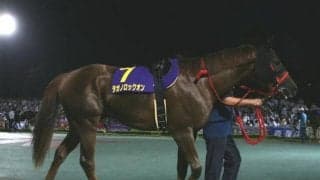 タガノロックオン産駒がJRA初勝利　函館2Rでタガノグリュックが優勝