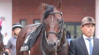 【栗駒賞予想】転入初戦のアキトクレッセントに注目!!/NARレース展望