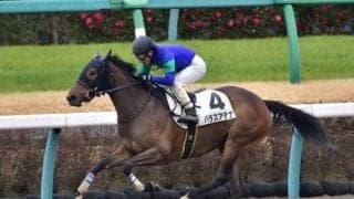 【ラジオNIKKEI賞・馬体重】パラスアテナは452kg(+10)、グレイトオーサーは508kg(-6)