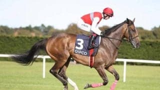 【英・エクリプスS】エネイブルは断然の1番人気、日本馬ディアドラは4番人気(19:00時点)