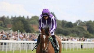 【エクリプスS】ジャパンは3着 ガイヤースが逃げ切る