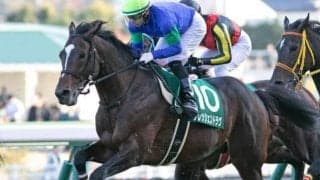 GIII七夕賞＆プロキオンSに注目/今週の競馬界の見どころ