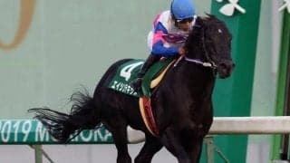 【金沢・日本海スプリント枠順確定】昨年覇者エイシンテキサスは6枠6番、重賞初V狙うファビラスヒーローは4枠4番