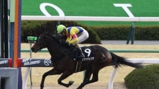 【マリーンSハンデ確定】リアンヴェリテは57.5kg、タイムフライヤーは57kg