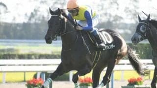 【七夕賞ハンデ確定】エアウィンザーは57kg、ジナンボーは56kg