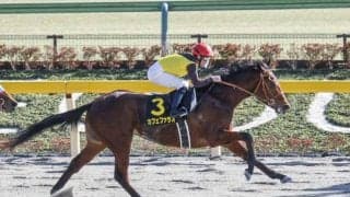 【大井・JDD】カフェファラオが無敗での戴冠を狙う/ジャパンダートダービーの見どころ(地方競馬)