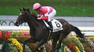 【次走】CBC賞覇者ラブカンプー、藤田菜七子騎手とのコンビでアイビスSDへ