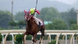 【水沢・フェアリーC】5番人気のボルドープラージュが2着に2馬身差を付ける快勝