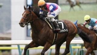 【七夕賞展望】サマー2000シリーズの開幕戦、あの穴馬に注目したい