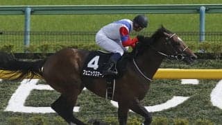 【先週のJRA抹消馬】ブリリアントS覇者フェニックスマーク、ラジオ日本賞2着クロスケなど