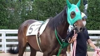 【門別競馬情報】「一日発売額」は平成3年、「一開催発売額」は昭和52年の記録を更新！フィーバー続く門別グランシャリオナイター競馬、7日メイン11Rは「星の降る里あしべつ特別」/地方競馬情報