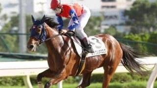 【日本海スプリント予想】 南関東3勝ミラクルダマスクか、トライアル楽勝のフェリシアルチアか/NARレース展望