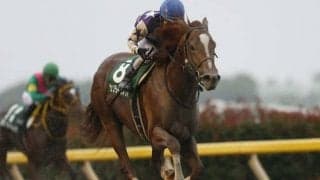 【プロキオンS想定騎手】サンライズノヴァは松若風馬騎手、エアスピネルは鮫島克駿騎手