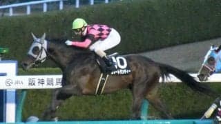 【プロキオンS展望】今年は阪神で行われる一戦、好走の条件とは