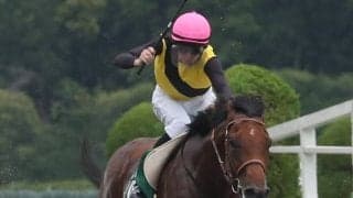 【JDD】枠順と見どころ カフェファラオは2枠2番