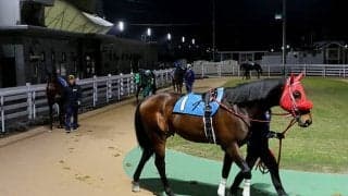 【地方競馬】無観客でどこまで売上が伸び続けるのか/斎藤修コラム
