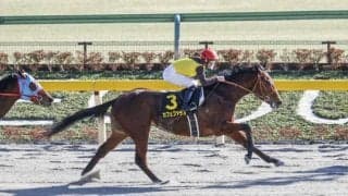 【ジャパンダートダービー予想】カフェファラオが無傷の4連勝で頂点へ！/NARレース展望