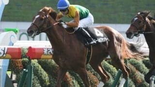 【次走】9馬身差圧勝ロールオブサンダーは神戸新聞杯へ