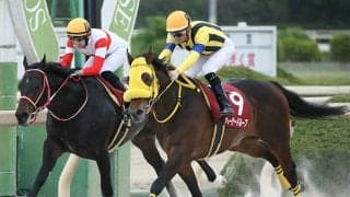 【大井・JDD予想】今年も人気順通りには決まらない!? アタマを悩ませる「未知の要素の多さ」をどう考える？/地方競馬レース展望