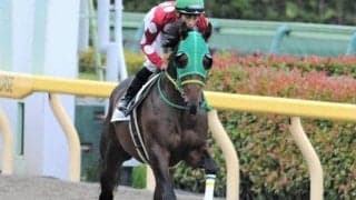 【門別競馬情報】3歳ダート頂上決戦お楽しみ後は門別メインもお願いします！タイセイシャイニーの素質に注目「ウポポイ開設直前記念特別」/地方競馬情報