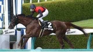 【スパーキングLC】メモリーコウ・サルサディオーネらの騎乗予定騎手が決定