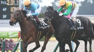 【七夕賞】リュヌルージュ鞍上はM.デムーロ騎手に、団野大成騎手の落馬負傷で
