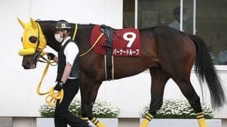 【JDD・馬体重】カフェファラオは508kg(-4)、バーナードループは513kg(-5)