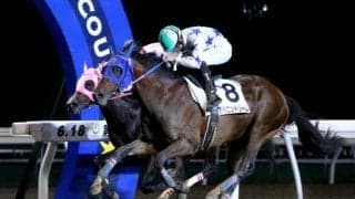 【王冠賞 出走予定馬】道営三冠の最終戦　レッドカード・アベニンドリームらが名を連ねる