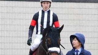 【次走】カレンブーケドールはオールカマーで復帰