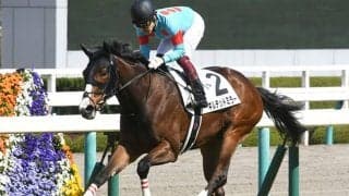 【中京記念想定】ギルデッドミラー、ケイアイノーテック、トロワゼトワルなどGI上位馬参戦へ