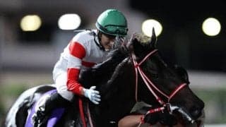 【JDダービー】売上はレースレコードの23億円超、前年のレコードを6億円以上更新