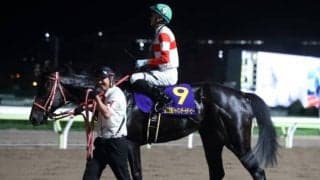 【ジャパンダートダービー コメント】ダノンファラオ鞍上・坂井瑠星騎手「これから良くなる余地が残っています」