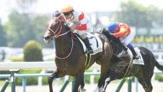 【門別競馬情報】開催「2日増」等で出走数も少し分散。人気馬が地力発揮しやすい傾向も!?今夜メインも少頭数「ダノンバラード賞」/地方競馬情報