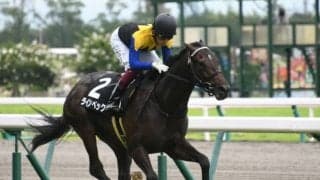 【次走】初ダート戦を完勝の良血ラインベックはレパードSを視野に