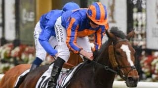 【英・ファルマスS】エクリプスS4着のマジックワンドは7番枠、デットーリ騎乗のテレベルムは1番枠